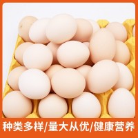 批發(fā)農(nóng)家土雞蛋 新鮮雞蛋30枚/60枚裝 農(nóng)家散養(yǎng)農(nóng)村土雞蛋整箱